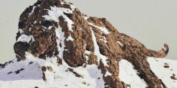 El artista radicado en Ámsterdam aporta un brillo lúdico a la naturaleza – FBViral.com