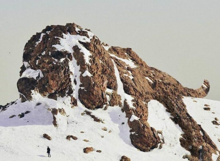 El artista radicado en Ámsterdam aporta un brillo lúdico a la naturaleza – FBViral.com