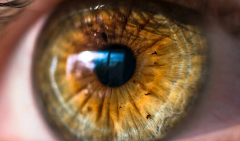 El primer tratamiento con células madre del mundo devuelve la visión a las personas