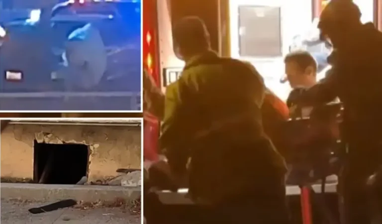 Oye golpes bajo su casa durante meses creyendo que son animales pero la Policía descubre que es un hombre desnudo..
