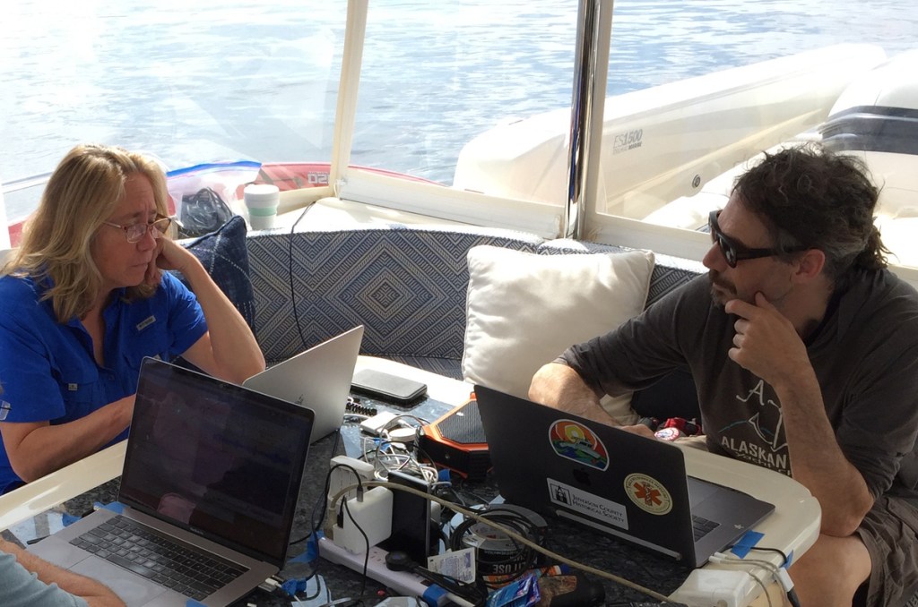 Una ballena jorobada tiene una “conversación” de 20 minutos con científicos gracias a la IA 2 Una ballena jorobada tiene una “conversación” de 20 minutos con científicos gracias a la IA