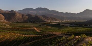 La ruta de Baja California: un paseo por Pueblos Mágicos y la capital del vino en México