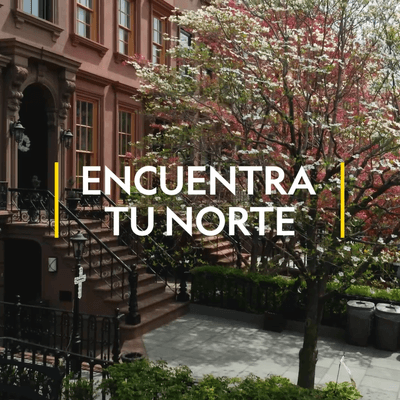 Descubre lo mejor de Nueva York Descubre lo mejor de Nueva York