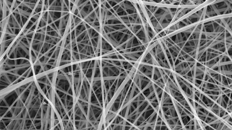 Ucl Spaghetti Investigacion - spaghetti