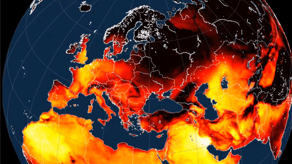 Aparecen focos de olas de calor mortales e inexplicables en todo el mundo