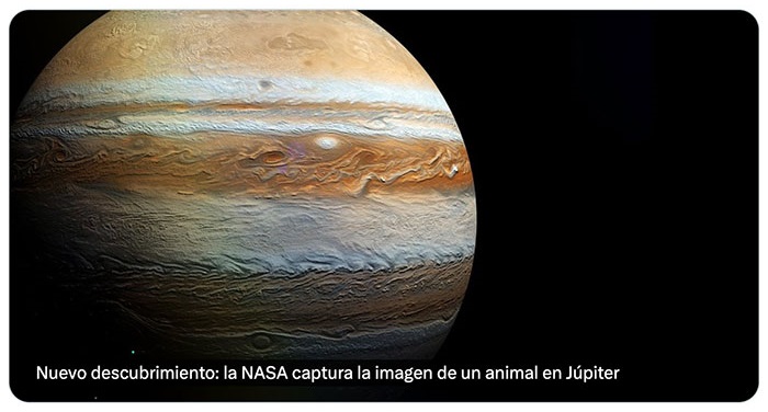 La NASA captura la imagen de un animal en Júpiter...