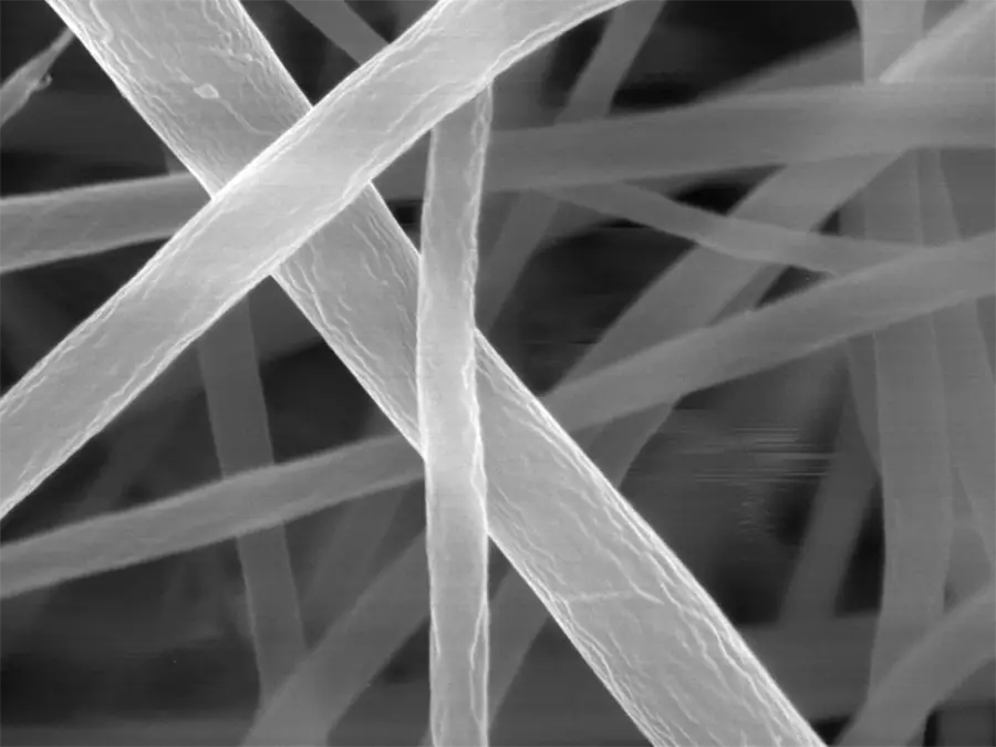 Ucl Spaghetti Investigacion 02 Ucl Spaghetti Investigacion 02 - spaghetti