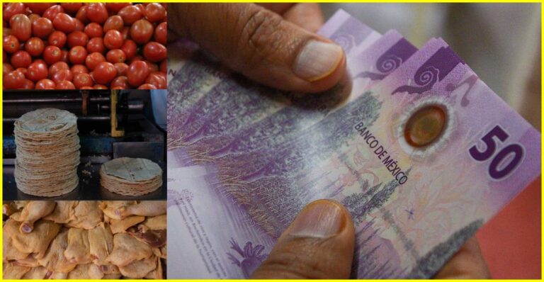 Nuevo salario mínimo 2025, pero… ¿sí lleno mi refri con la canasta básica?