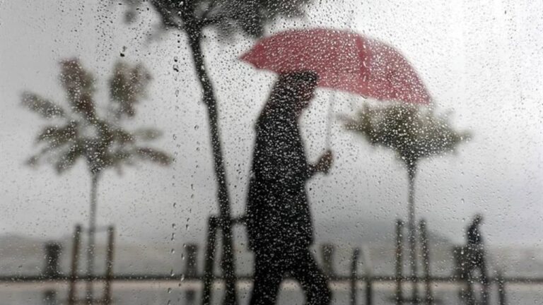 ¿Es posible "oler" cuando va a llover?
