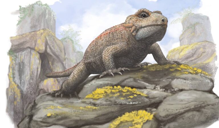 Descubren un nuevo reptil triásico con dientes únicos en Inglaterra Descubren un nuevo reptil triásico con dientes únicos en Inglaterra