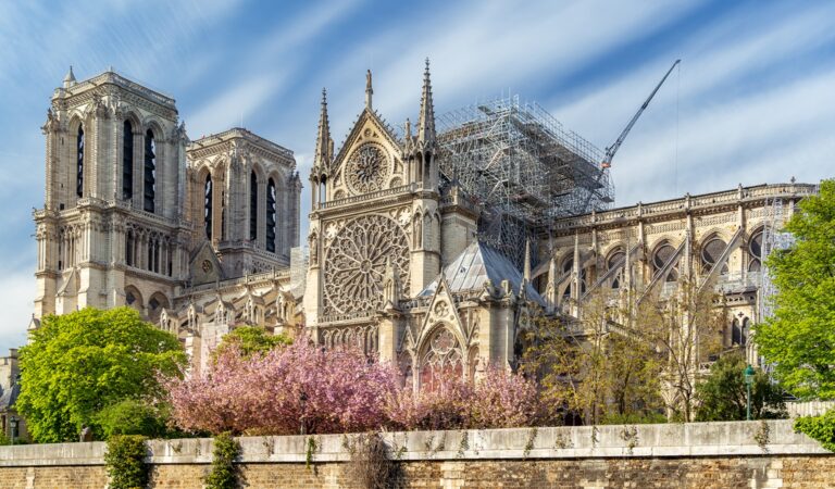 Curiosidades de Notre Dame | ¡La catedral más famosa de París!