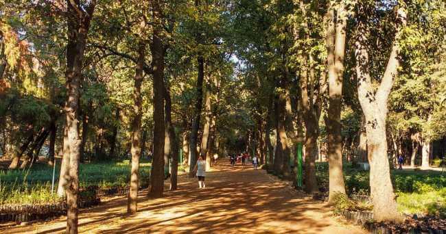 6 parques para ir a correr en la CDMX