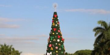 ¿Cuál es el origen del árbol de Navidad?