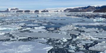 Tormentas y pérdida de hielo marino sin precedentes