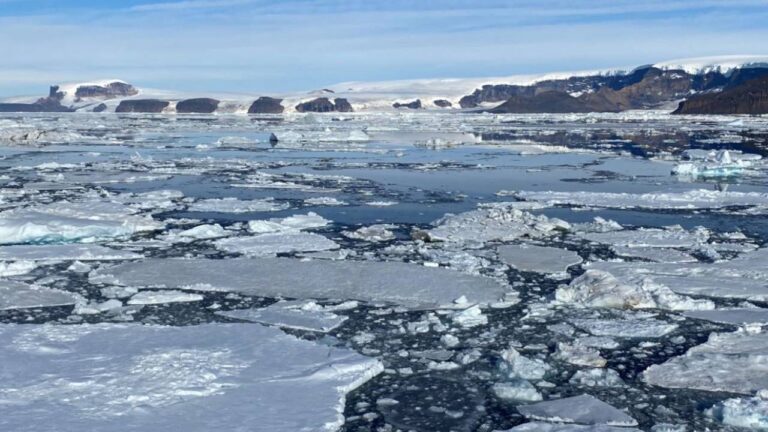 Tormentas y pérdida de hielo marino sin precedentes