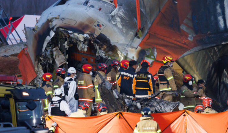 Accidente de avión en Corea del Sur pudo ser provocado por un choque con aves
