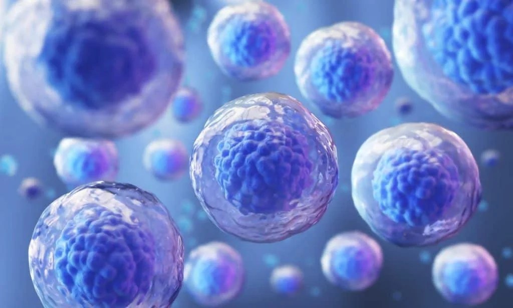Convierten células cancerosas en células normales con una innovadora tecnología 1 Convierten células cancerosas en células normales con una innovadora tecnología