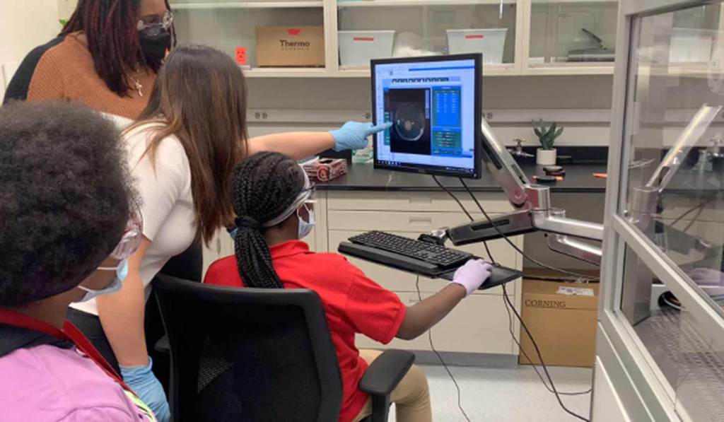 Estudiantes de secundaria descubre un compuesto que retarda el Cáncer en el excremento de los gansos 1 Estudiantes de secundaria descubre un compuesto que retarda el Cáncer en el excremento de los gansos