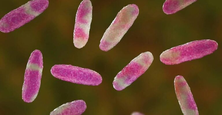 Todavía no encuentran el origen de la bacteria Klebsiella Oxytoca en Edomex