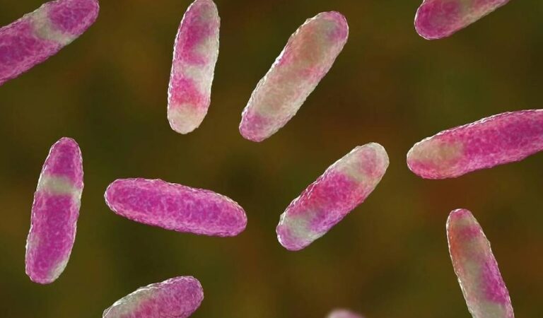 Todavía no encuentran el origen de la bacteria Klebsiella Oxytoca en Edomex