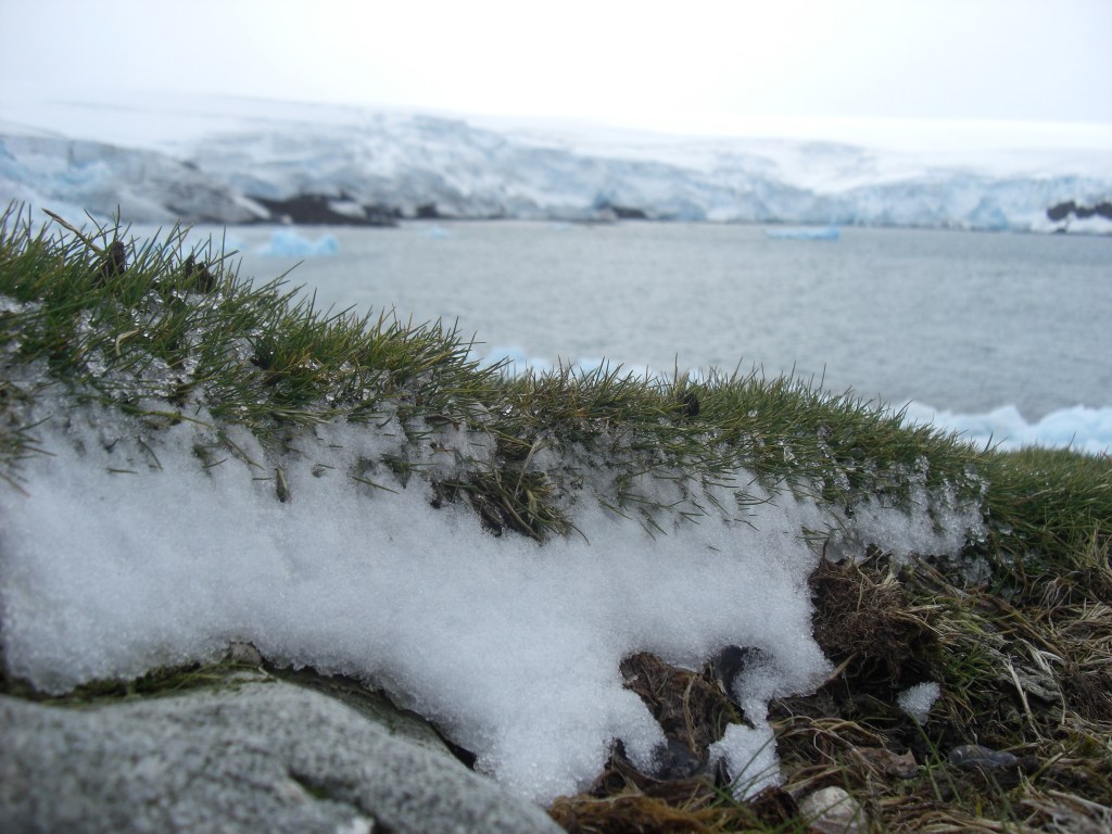 Cambios drásticos en la Antártida: Tormentas y pérdida de hielo marino sin precedentes