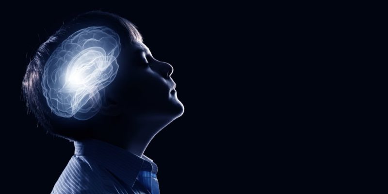 ¿El coeficiente intelectual ha caído? Así afirma un reciente estudio 2 ¿El coeficiente intelectual ha caído? Así afirma un reciente estudio