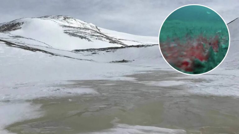¿Qué se esconde a 14 metros bajo el hielo?