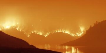 Los incendios forestales afectan el ciclo del agua: cómo impactan en la calidad de ese recurso