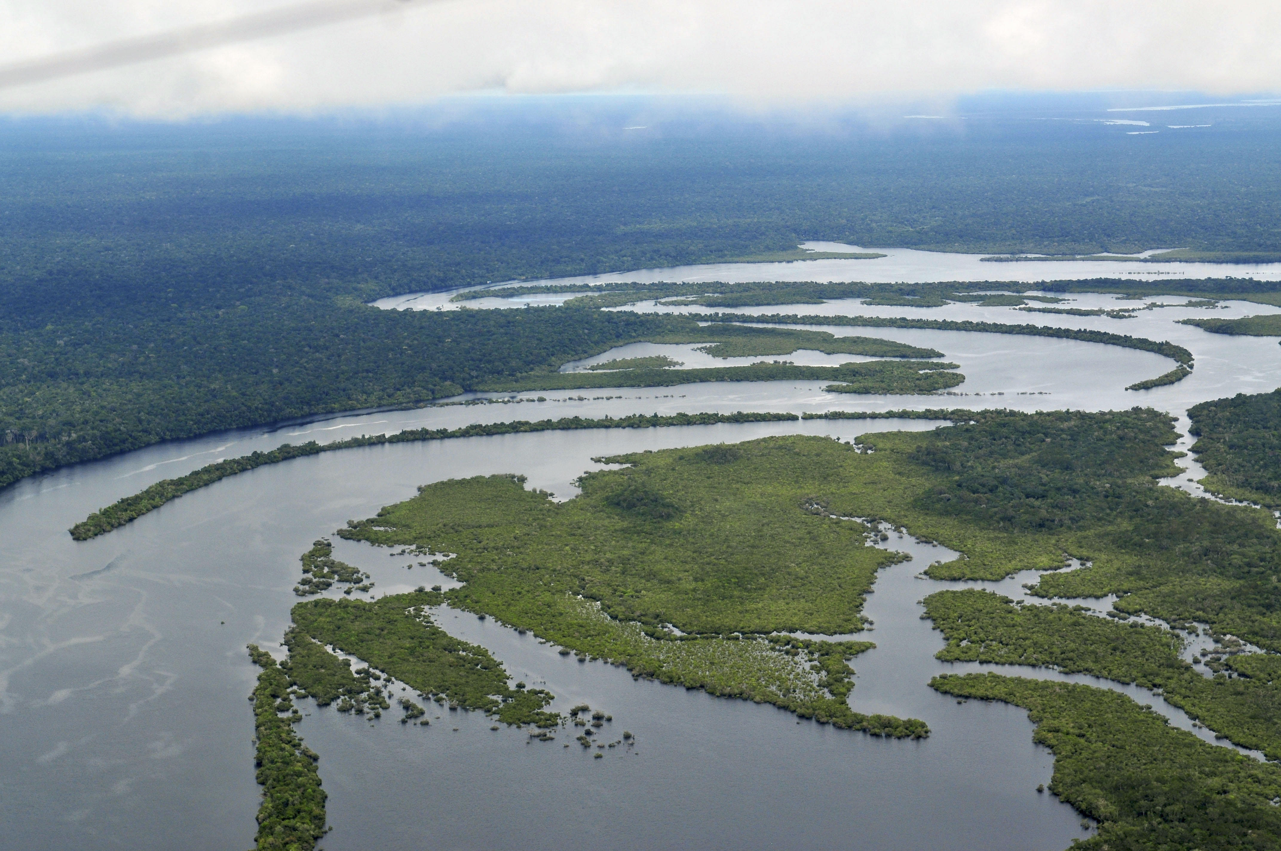 Vida silvestre en peligro de extinción: el informe Planeta Vivo de WWF revela una alarmante reducción del 73% en poblaciones de fauna silvestre desde 1970 2 vida silvestre - vida silvestre