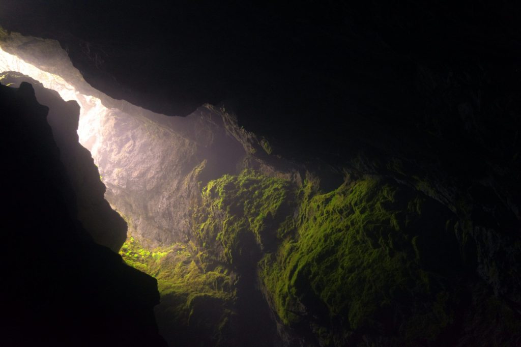 Descubren formas de vida en las profundidades de la Tierra, diferentes a la de la superficie 2 Descubren formas de vida en las profundidades de la Tierra, diferentes a la de la superficie