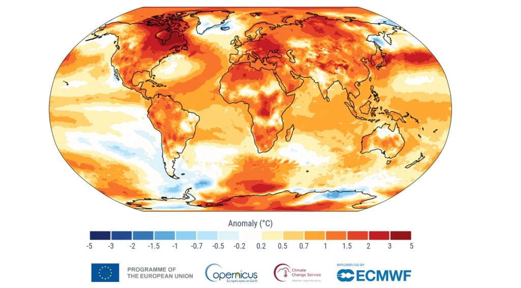 2024 fue el año más caluroso de la historia y trajo consecuencias catastróficas 1 2024 fue el año más caluroso de la historia y trajo consecuencias catastróficas
