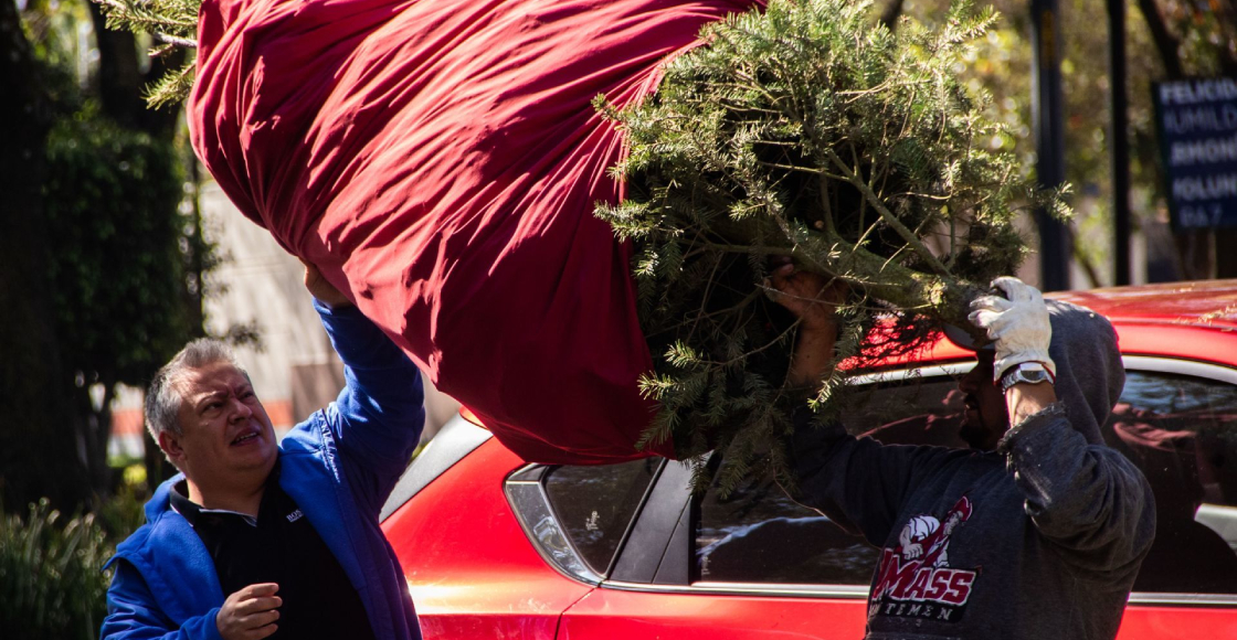 Se acabó la fiesta: Lugares para reciclar tu árbol de Navidad natural