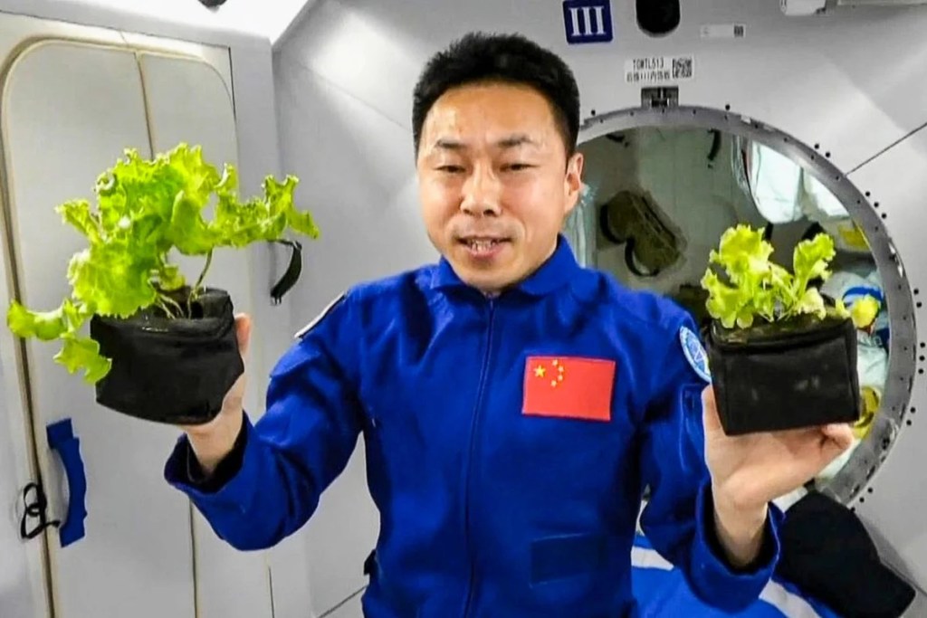 China transforma CO2 en oxígeno en la Estación Espacial Tiangong 1 China transforma CO2 en oxígeno en la Estación Espacial Tiangong