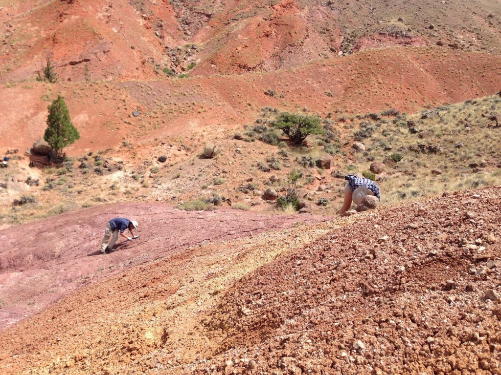 Descubren un dinosaurio completamente nuevo y resulta ser el más antiguo del hemisferio norte