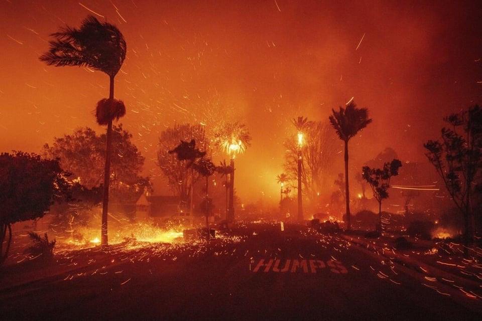 Incendio de Palisades: Primeras víctimas confirmadas 3 Incendio de Palisades: Primeras víctimas confirmadas