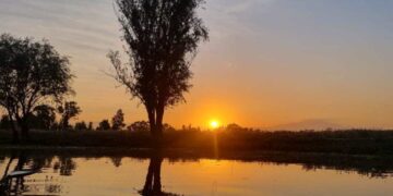 Instrucciones para ver el amanecer entre las chinampas de Xochimilco