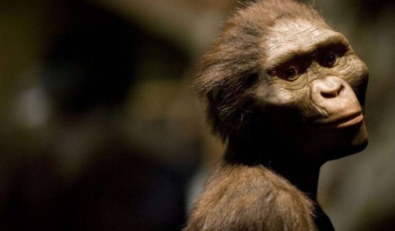 ancestros humanos vivieron en un desierto brutal, revela reciente estudio