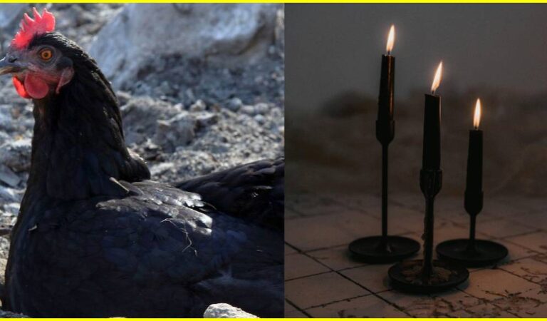 ¿Cuántos años de cárcel habrá por estos rituales?