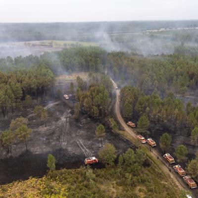 Qué hacer ante un incendio forestal: 7 recomendaciones de los expertos