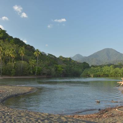 Los 5 datos sobre la selva del Darién: por qué es uno de los bosques más peligrosos del mundo