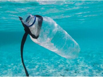 Investigadores japoneses desarrollan un plástico reciclable que se disuelve en el océano