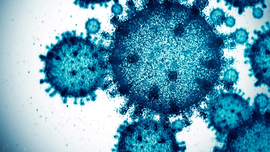 Los humanos transmitimos más virus a los animales de los que contraemos de ellos 3 Los humanos transmitimos más virus a los animales de los que contraemos de ellos