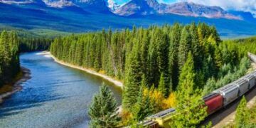 Los 5 países con más cantidad de bosques del mundo: un país latinoamericano ocupa el segundo lugar en el listado