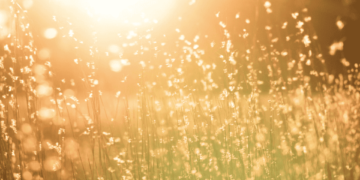 Consejos de la abuela para quitarnos el calor (sin conectar nada)
