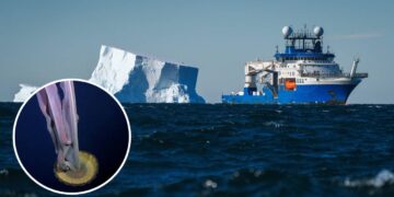El desprendimiento de un iceberg en la Antártida revela un ecosistema totalmente desconocido