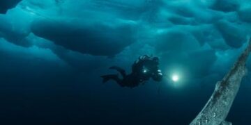 ¿El secreto de la longevidad? La ciencia busca pistas en el genoma del tiburón de Groenlandia, que puede vivir siglos