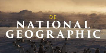 Secretos de los pingüinos