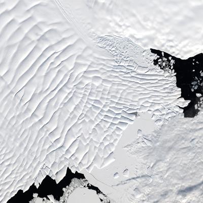 Hallazgo impresionante en la Antártida: científicos revelaron un mundo oculto bajo el hielo