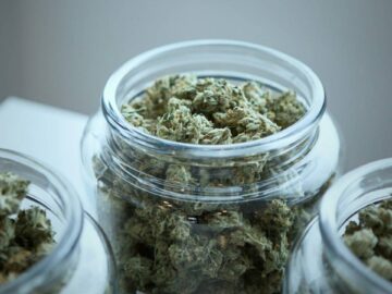 El consumo de cannabis causa grandes cambios en tu ADN