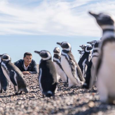 El explorador argentino que ayuda a proteger a millones de pingüinos gana el premio de la National Geographic Society
